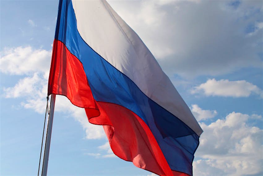 Travel News - Russia Russian zoo flooded leaving animals stranded.