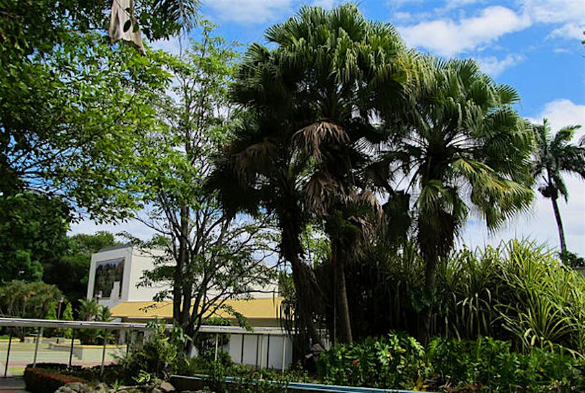 Travel News - Smithsonian Tropical Research HQ Zach Welty Headquarters of the Smithsonian tropical Research Institute, Panama.