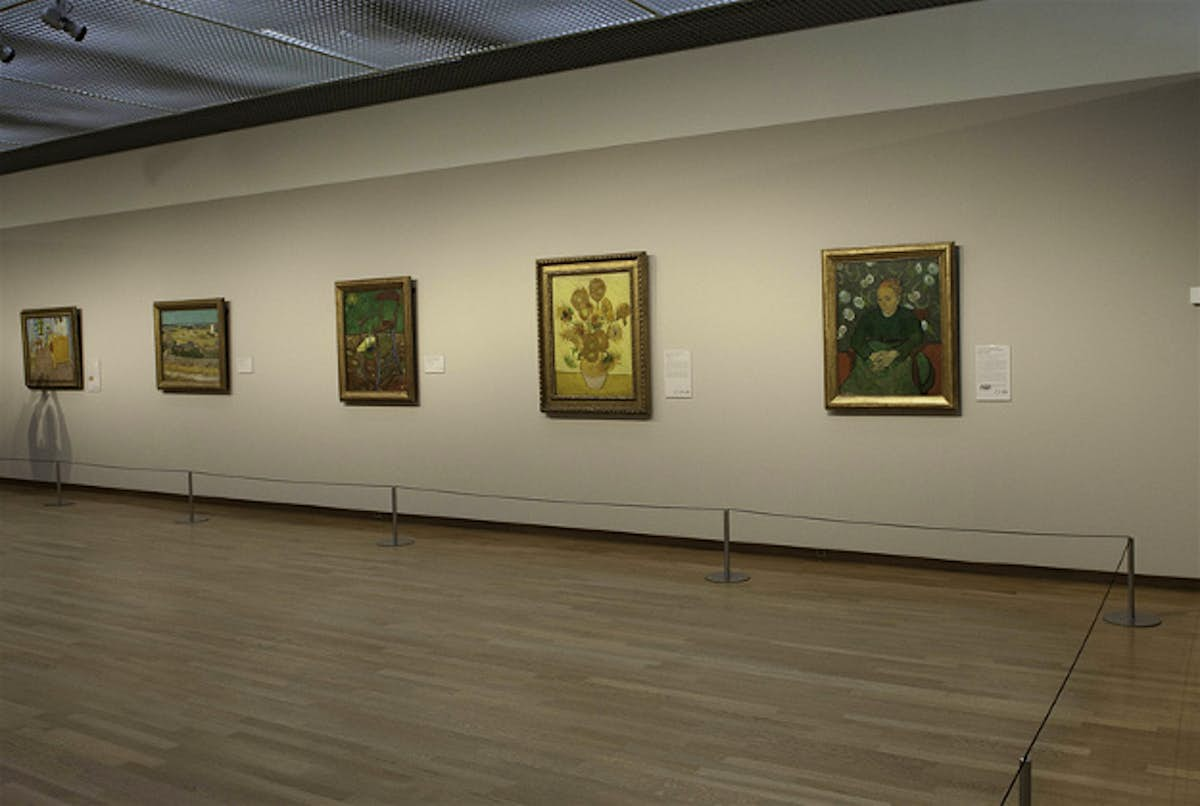 Sunflower celebration at Amsterdam's Van Gogh Museum ...