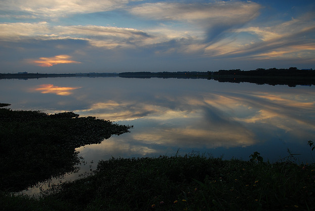 Belandur Lake, Bengalaru.