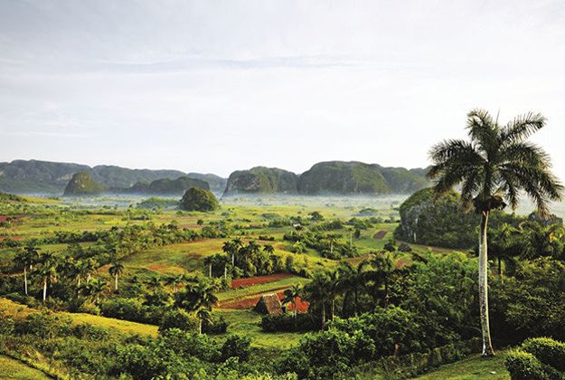Tobacco crops fill the valley in Viñales, Cuba. Beyond them, limestone mogotes dare climbers to test their mettle. 