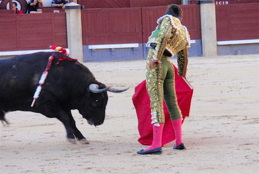 Travel News - Bullfighting Bullfighting in Madrid.