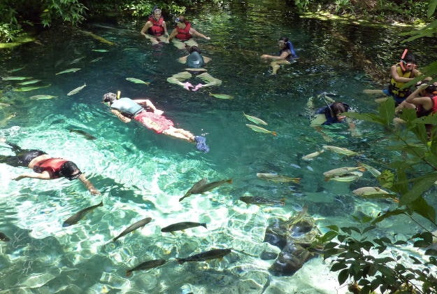 Tourists snorkelling surrounded by fish in a tributary of the Cuiab.