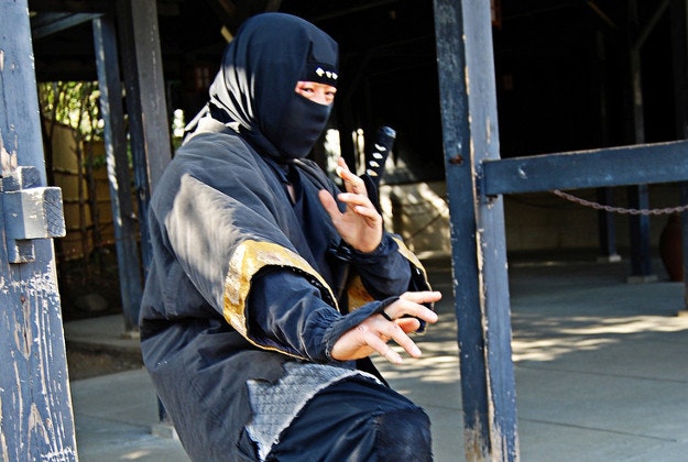 Ninja culture group launched in Japan.