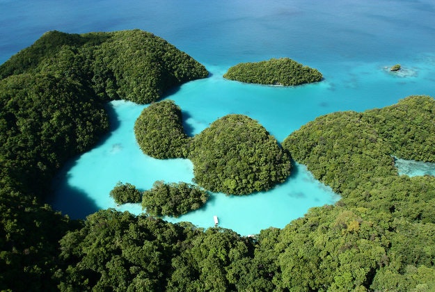 Palau, a Pacific island country, has approved a large marine sanctuary. 