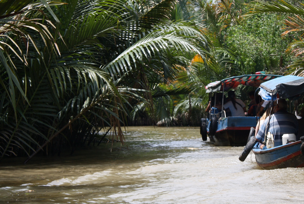 Motorised canoes on the Mekong Delta.