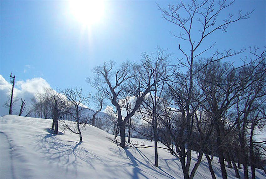 Travel News - Niseko snow, studio tdes Niseko snow, 2007.