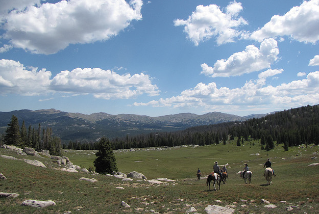 Big Horn Mountains, Wyoming.