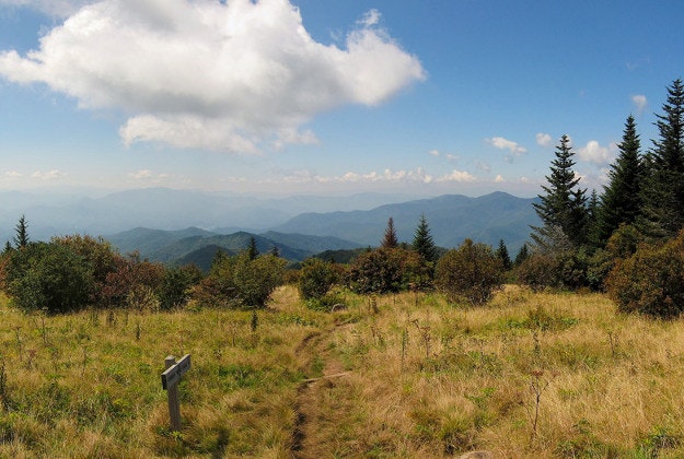 View from Andrews Bald on Forney Ridge Trail in Great Smoky Mountains National Park in North Carolina. 