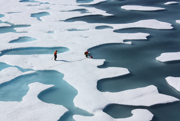 Arctic sea ice.