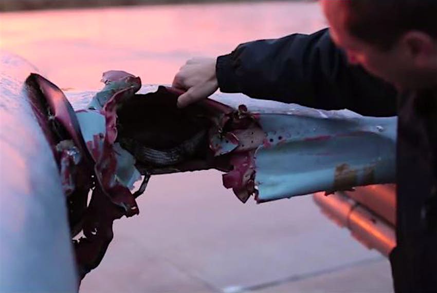 Travel News - birdstrike A Czech fighter pilot managed to land a plane after striking a bird.