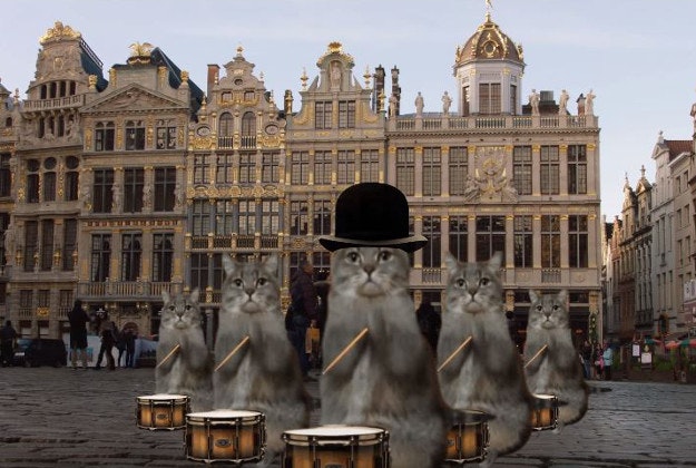 A Belgian tourist board released a video of cats in Brussels in response to internet memes during the city's lockdown. 