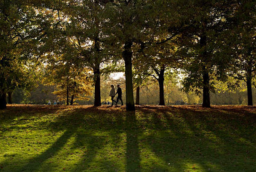 Travel News - photo4 People enjoying a mild afternoon walking in Greenwich Park, London on 28 October.