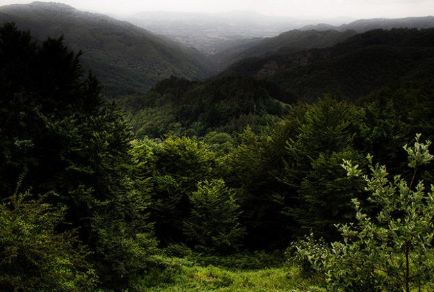 A man was discovered living deep in a Tuscan forest after he was declared dead by the authorities.