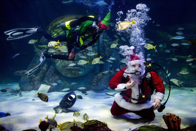 Oscar Miranda, dressed as Santa Claus, to waves to children on Tuesday, Dec. 22, 2015, at Sea Life Michigan in Great Lakes Crossing Outlets Mall in Auburn Hills, Mich. Miranda was joined by Zac Reynolds, an elf scuba diver who feeds the fish. 