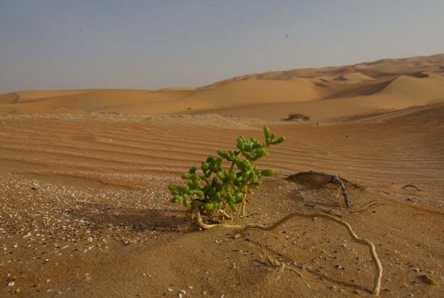 The Empty Quarter.