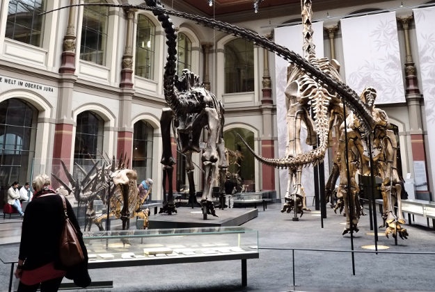 Berlin's Museum für Naturkunde.
