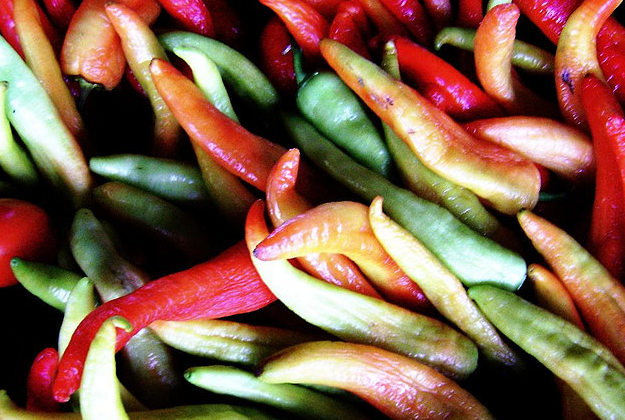 Houston to host Mexican chefs.