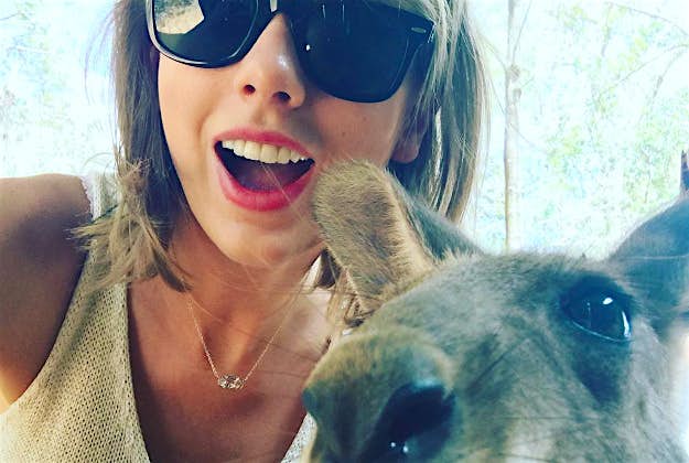 Travel News - kangaroo Taylor Swift snaps a kangaroo selfie