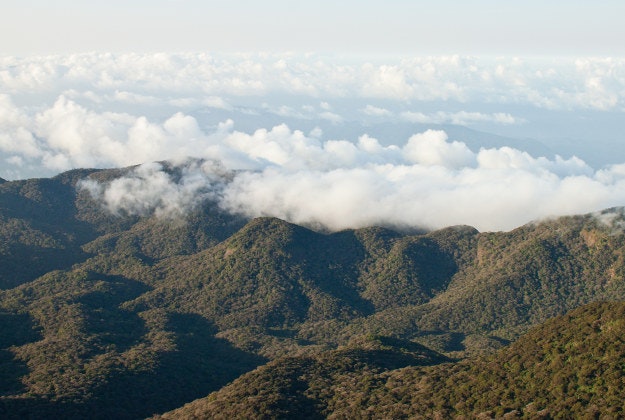 View from Adam's Peak.