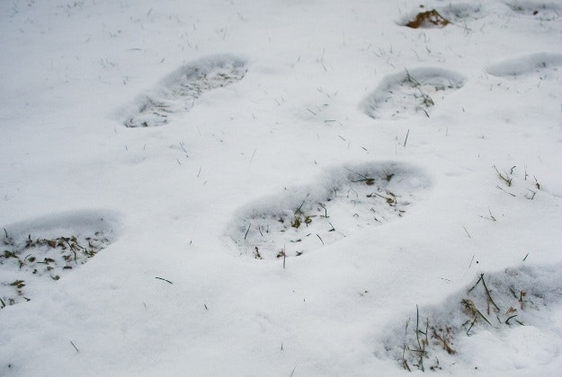 Footprints in the snow.