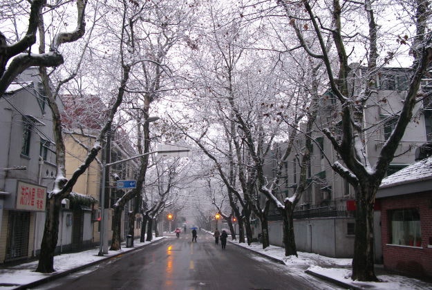 A snowy street scene in Shanghai.