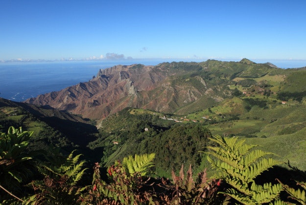 St. Helena.