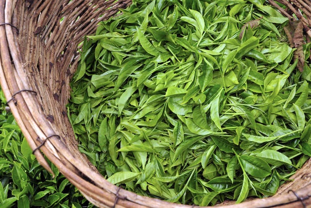 Tea leaves.