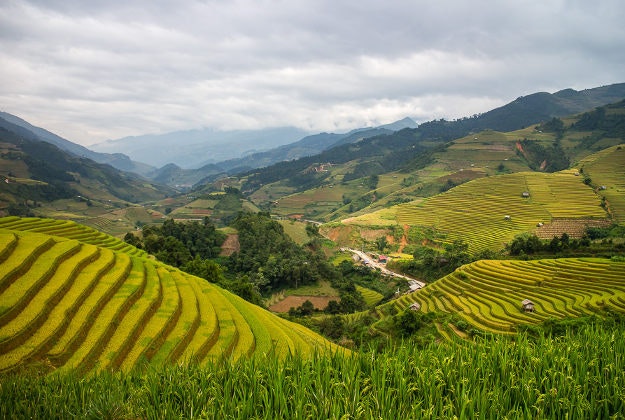 Rice terraces in Vietnam's Yen Bai Province.