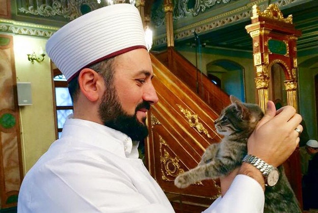 Mustafa Efe plays with one of his cat guests in the mosque