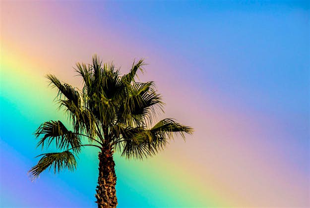 Travel News - el nino palm A truly Californian sky