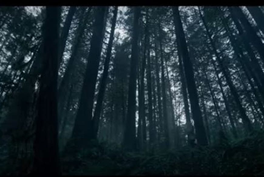 Location used for the infamous bear attack scene