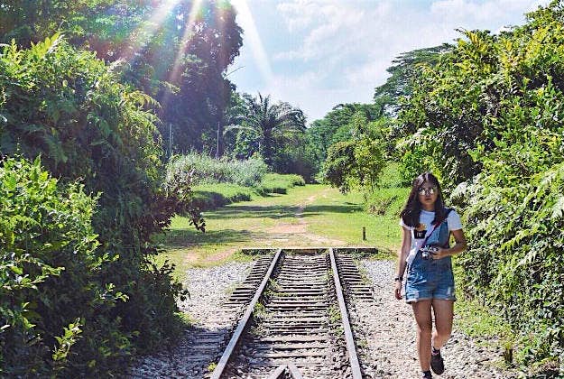Travel News - nikken sekkei 2 Locals love walking along the disused rail