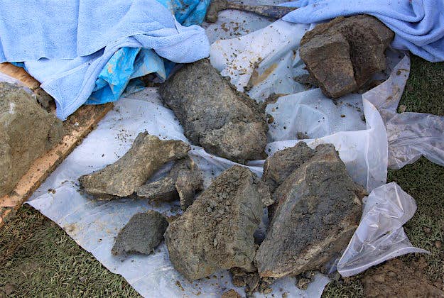 Travel News - oregon bones Bones dating back to the ice age have been found in Oregon