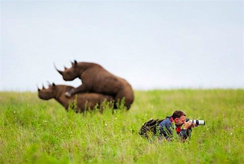 Travel News - rhinos A WWF photographer misses two rhinos getting amorous