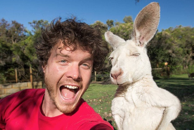 Allan with an albino kangaroo in Australia 