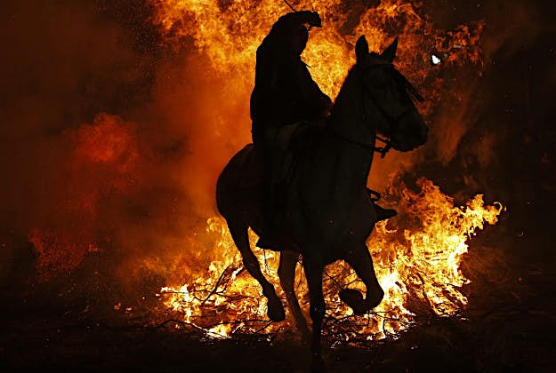 Travel News - spain 2 The annual festival takes place in San Bartolome de Pinares