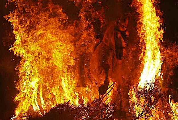 Travel News - spain A man rides his horse through flames during the Spanish Luminarias festival