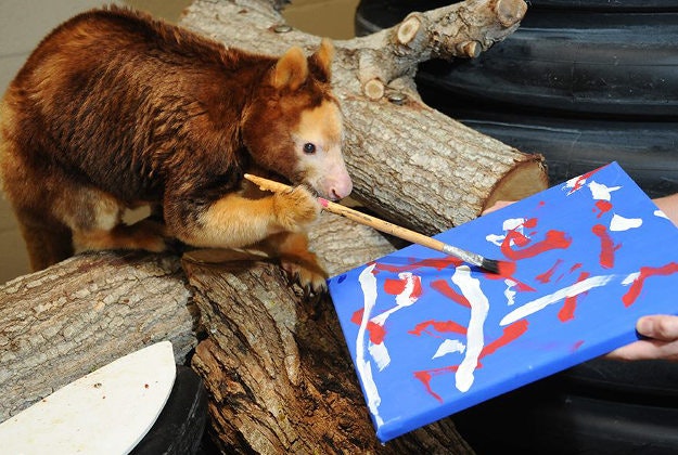 The Miami Zoo was hearbroken when Patty died on Wednesday