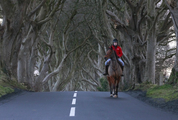 A horseman rides along Bregagh Road, Dark Hedges, Armoy, Northern Ireland, Wednesday. The iconic tunnel of trees that features as the Kingsroad in the smash-hit television series Game of Thrones has been painted with white line road markings in error by a contractor. 