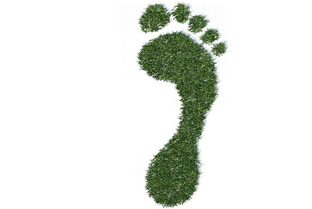 Carbon footprint.