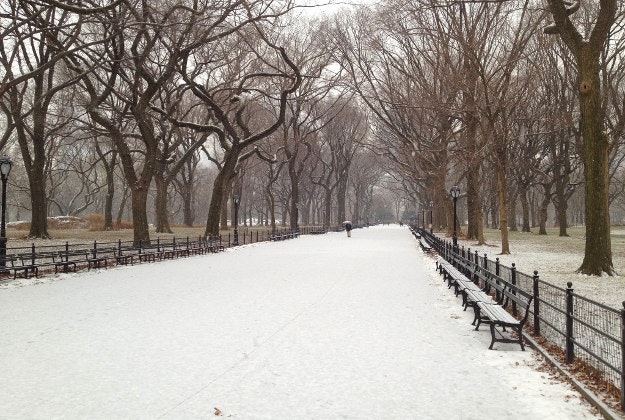 Central Park with snow. 