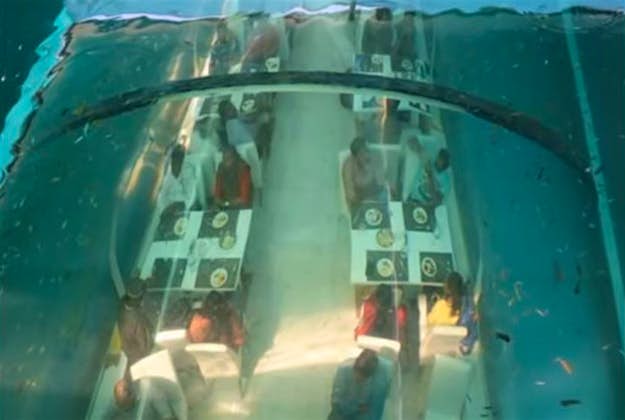 Travel News - fish restaurant 2 The Real Poseidon is India's first under water restaurant