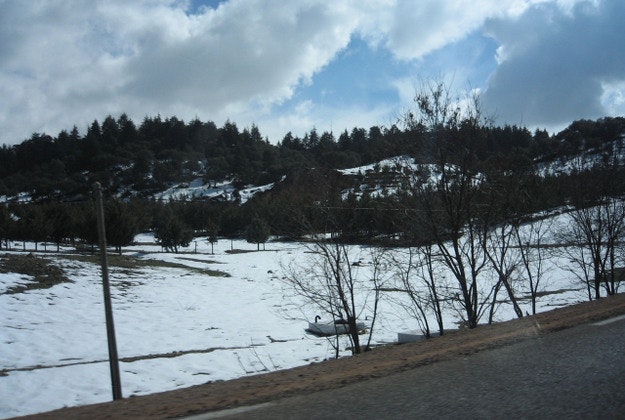 Snow in Ifrane, Morocco.