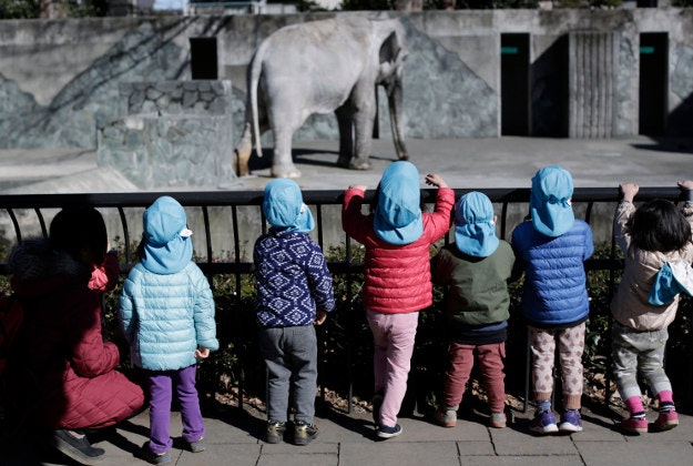 Children look at Hanako the elephant at Inokashira Park Zoo on the outskirts of Tokyo