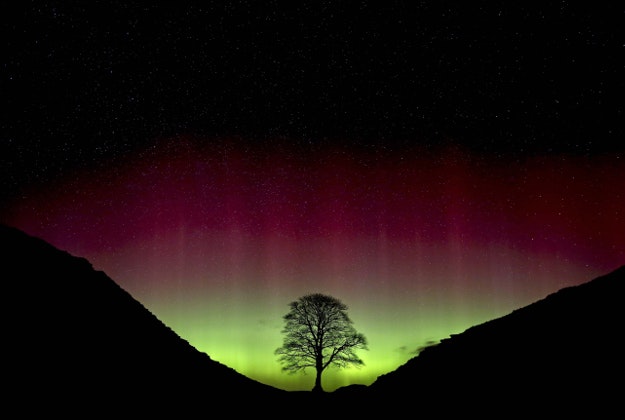 The Northern Lights, or Aurora Borealis, shine over the Sycamore Gap at Hadrian's Wall in Northumberland. The ethereal spectacle is caused by charged solar particles interacting with the Earth's magnetic field and is usually only visible in the far north of Scotland.