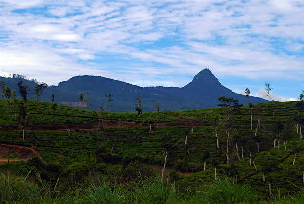 Travel News - AdamsPeak Adam's Peak, Sri Lanka.