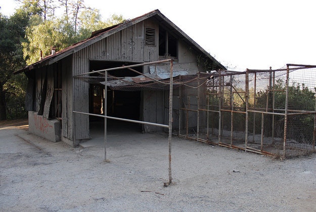 The abandoned zoo at Griffith Park.