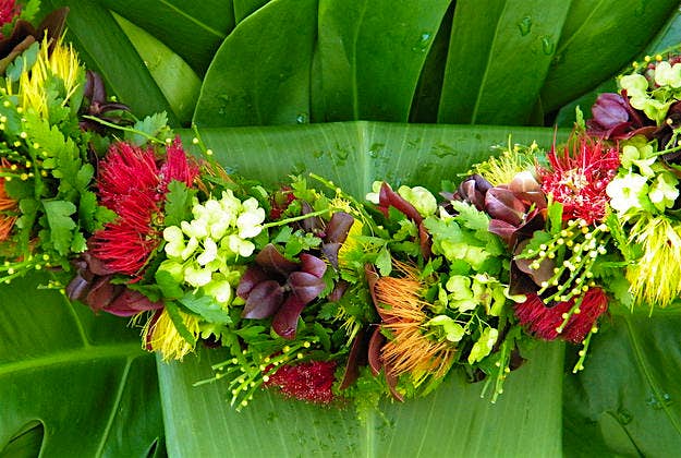 Travel News - Hawaii Hawaii