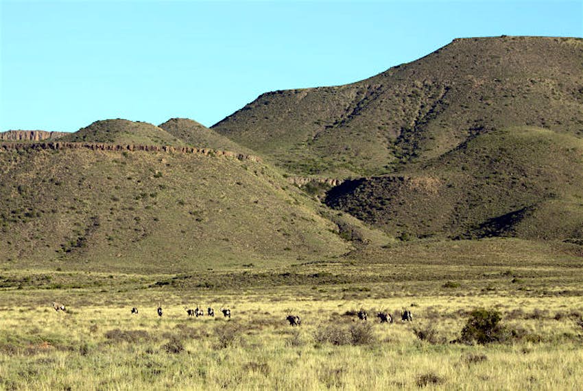 Travel News - Karoo National Park Karoo National Park.